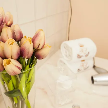 Ml Story * بورتو